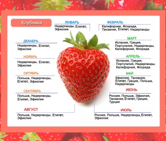 Вам каких фруктов - с дифенилом или этиленом?